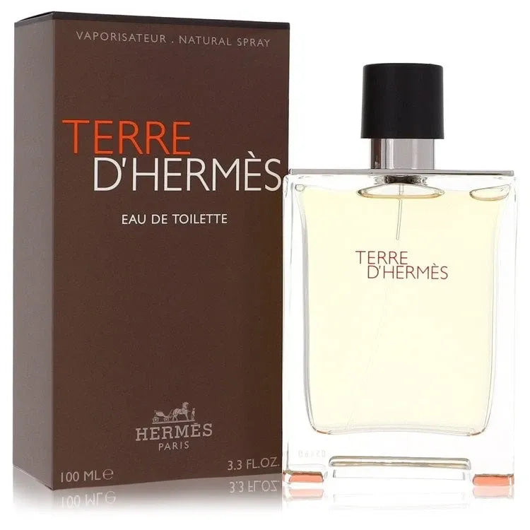 HERMES TERRE DHERMES (M) EDT 100ML